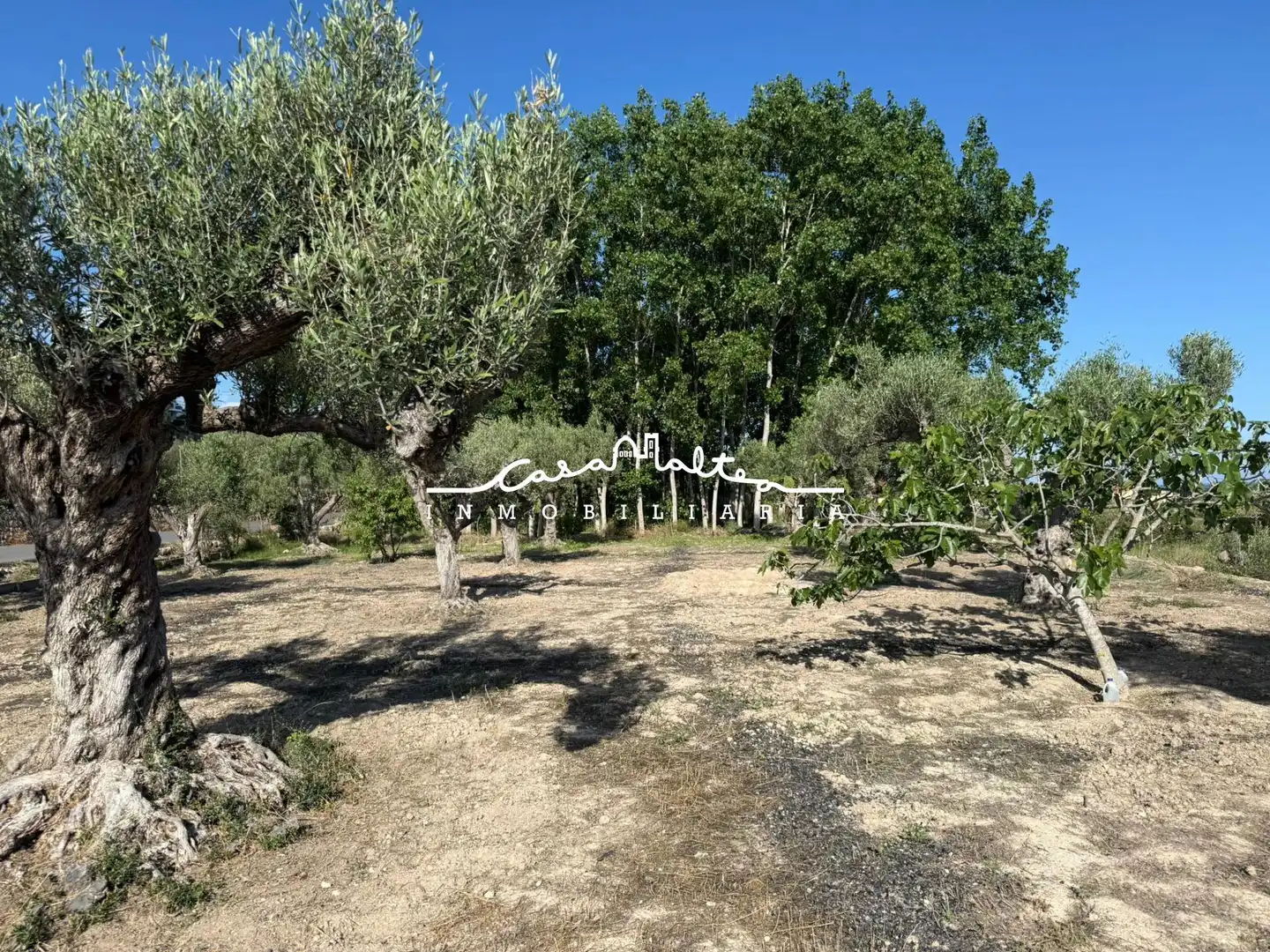 Terreno rustico in vendita a Altea ciudad, imagen 5