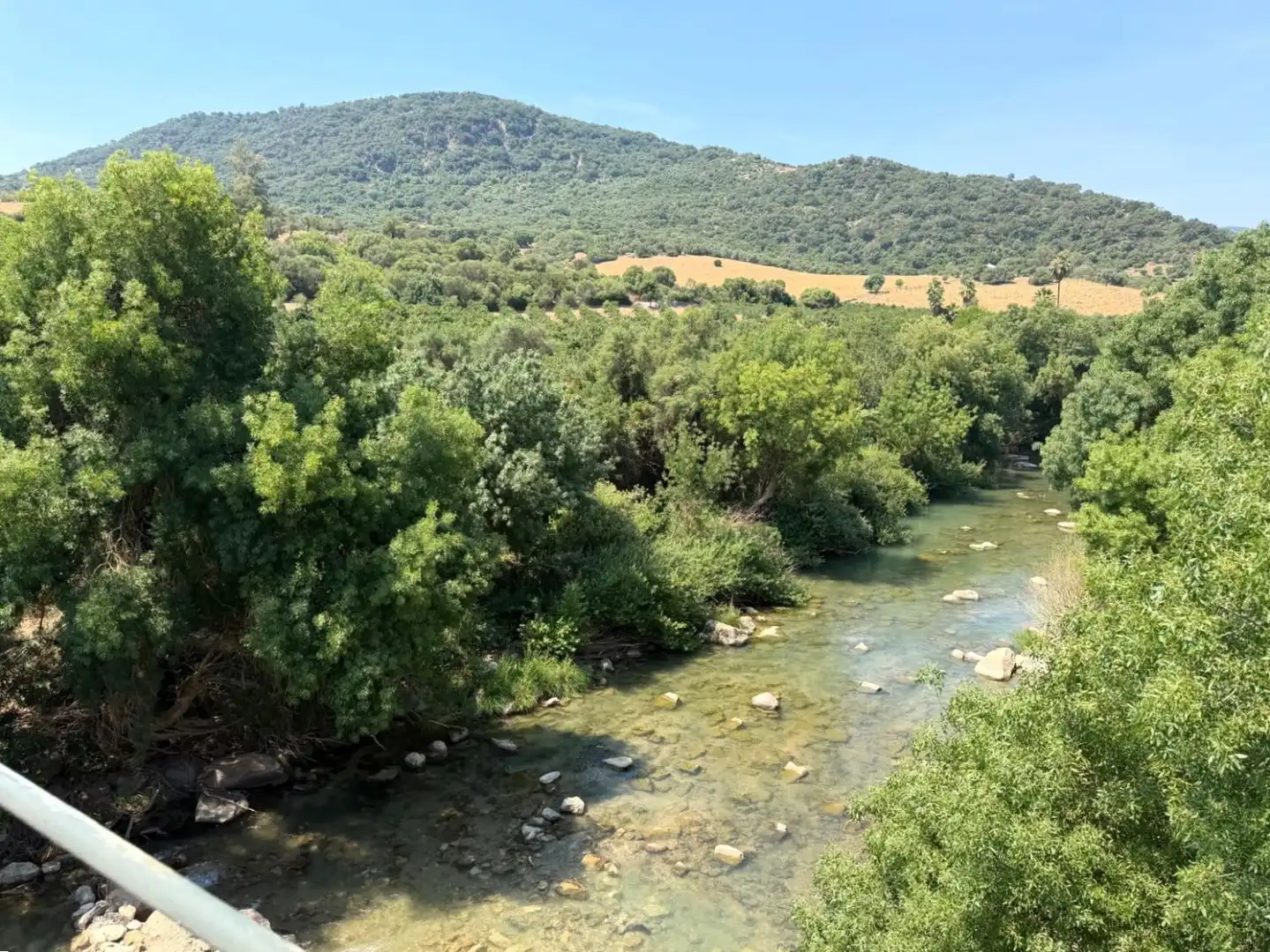 Vista exterior de Finca rústica en venda en Gaucín amb Jardí privat, Terrassa i Piscina