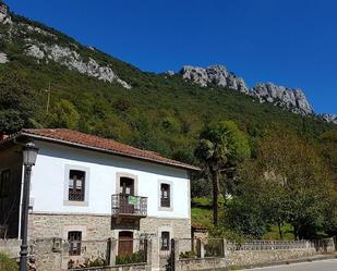 Vista exterior de Casa o xalet en venda en Peñamellera Alta amb Balcó