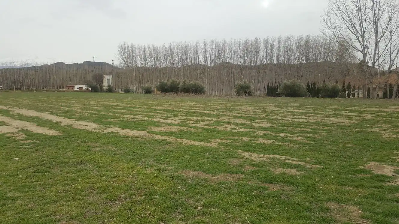 Terreni e lotti in vendita a Purullena