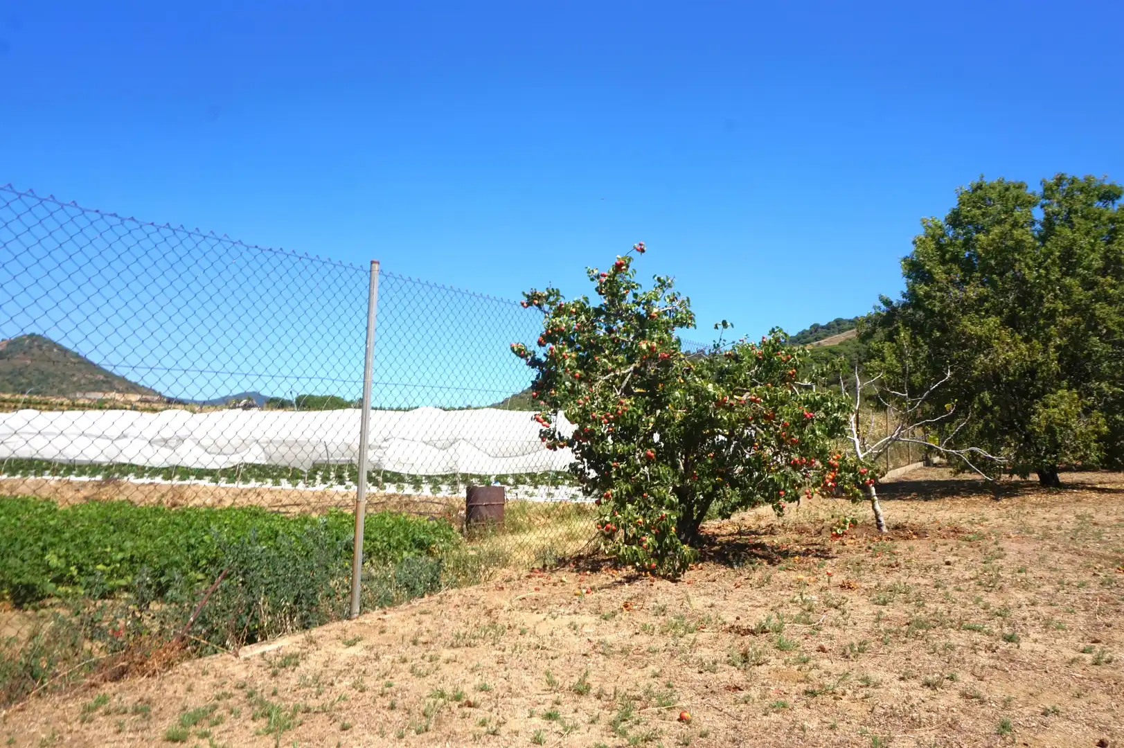 Houses for sale in Pineda de Mar  with Heating, Private garden and Terrace