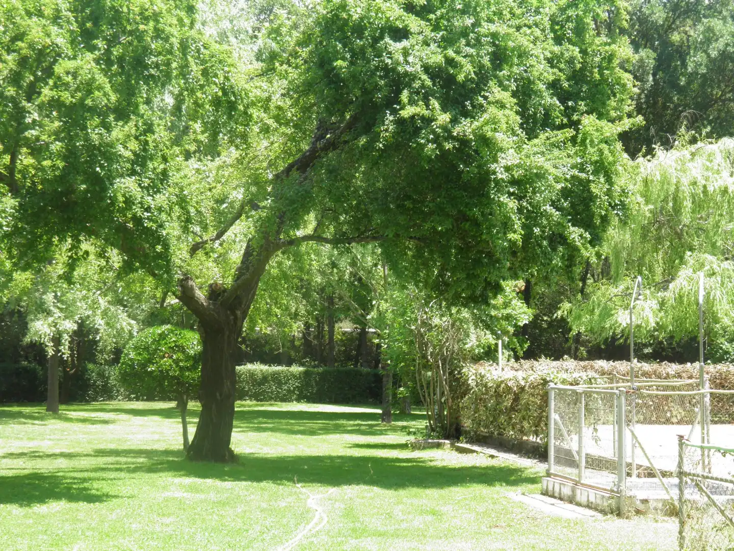Garden of Buildings for sale in Brazatortas  with Alarm and Community pool