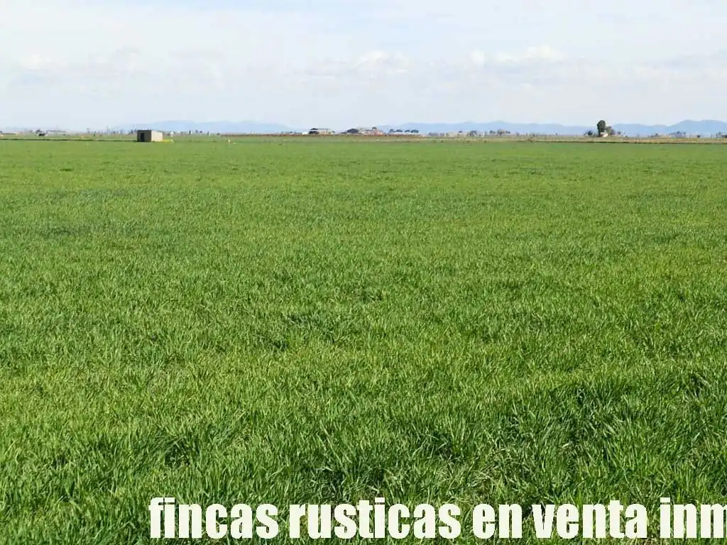 Terreny rústic en venda a Manzanares, imagen 10