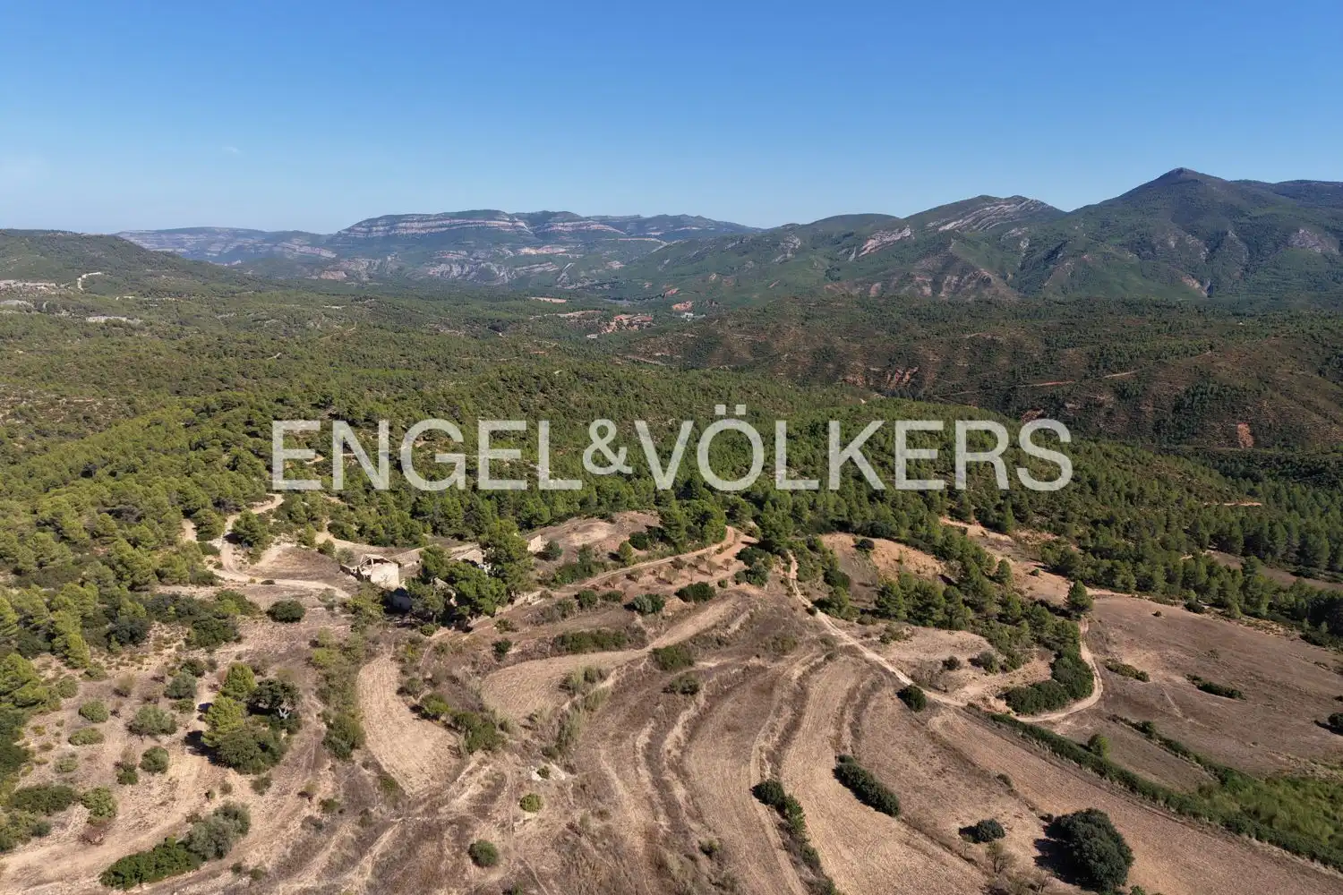 Terrain rustique à vendre à Requena, imagen 42