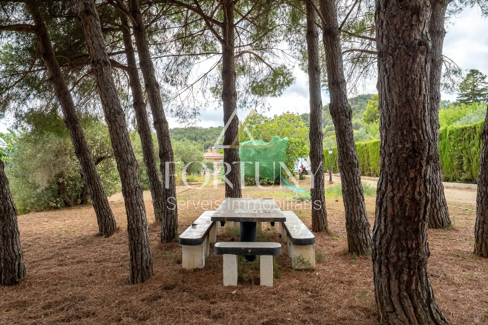 House with pool for sale in Carrer del Tià, imagen 9