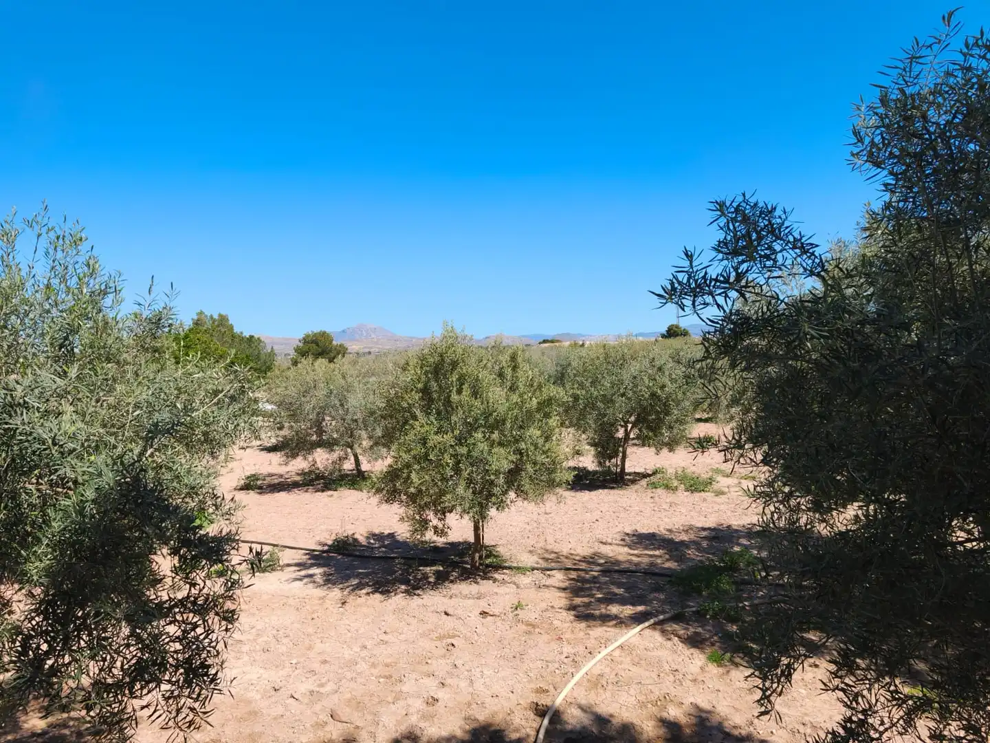 Houses for sale in San Vicente del Raspeig / Sant Vicent del Raspeig  with Air Conditioner, Private garden and Swimming Pool