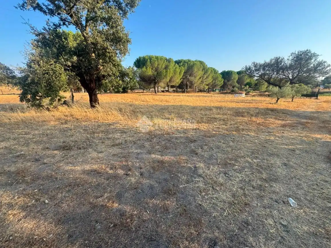 Finca rústica en venda en Badajoz amb Traster i Moblat