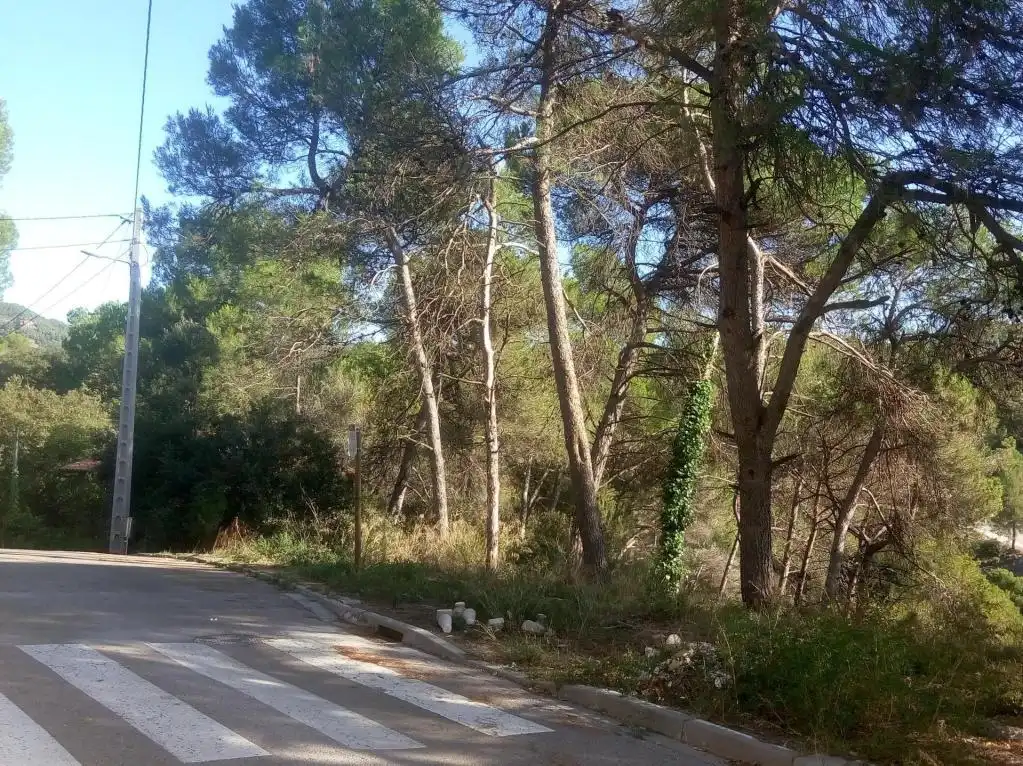 Terreny residencial en venda a Estacio De Torreblanca, 48, imagen 7