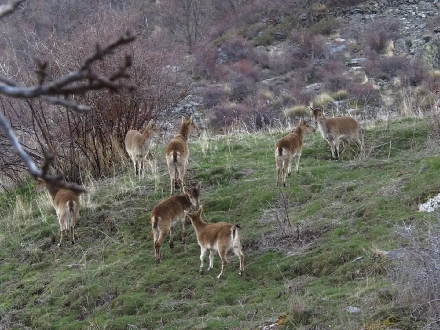 Casa amb jardí en venda a Güéjar Sierra, imagen 43
