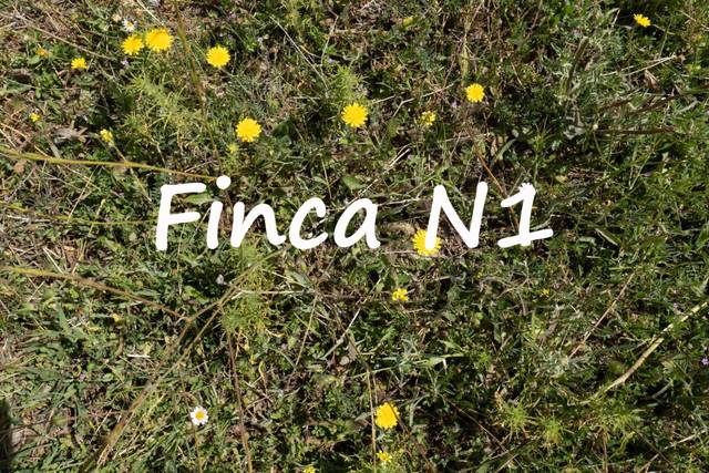 Terreno en Venta en Polígono Polígono 2 Parcela 40 ALBERQUILLAS. SOPOR, 2 en Soportújar