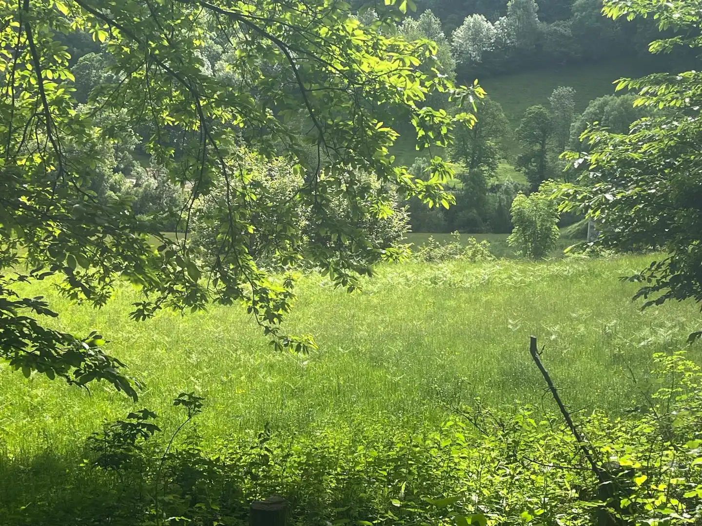 Land for sale in Beintza-Labaien