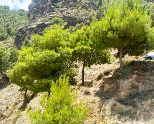 Vista exterior de Casa o xalet en venda en Instinción amb Calefacció, Jardí privat i Terrassa