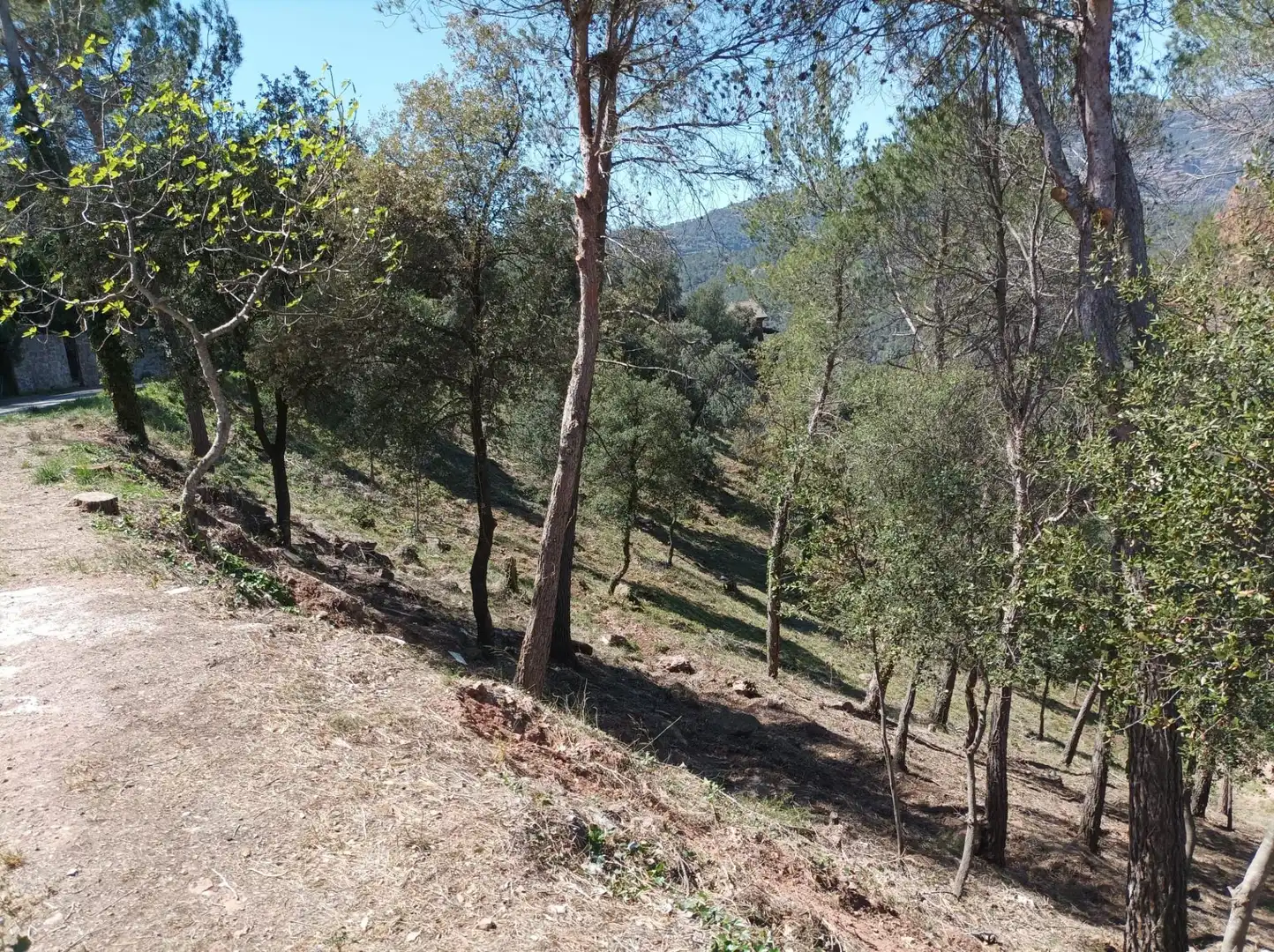 Wohnbaugrundstück zum Verkauf in El Racó - Sant Feliu del Racó, imagen 3