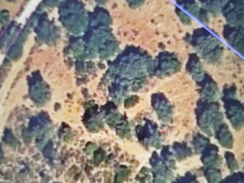 Terreno en venta en Coripe