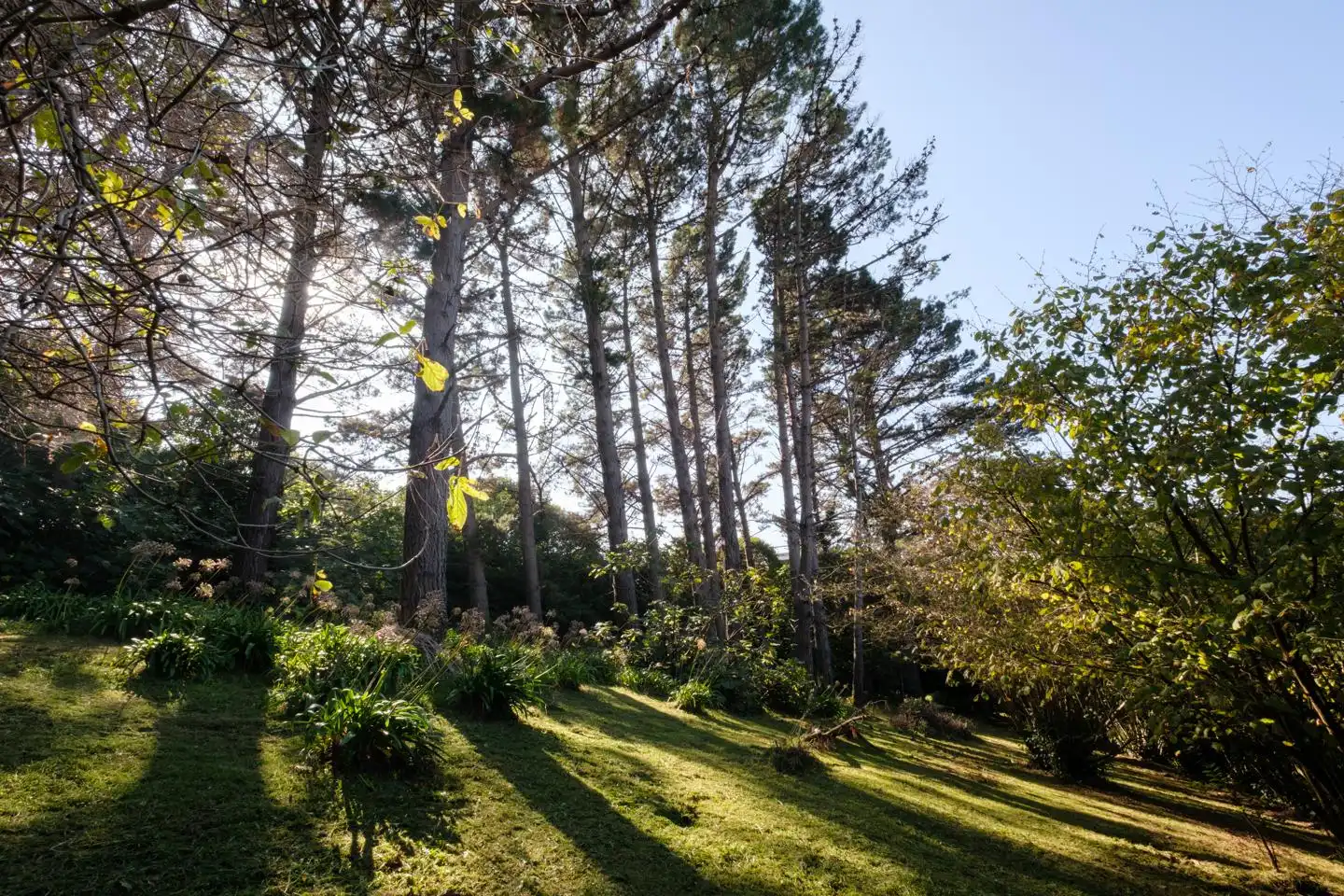 Jardí de Casa o xalet en venda en Gijón  amb Jardí privat i Terrassa