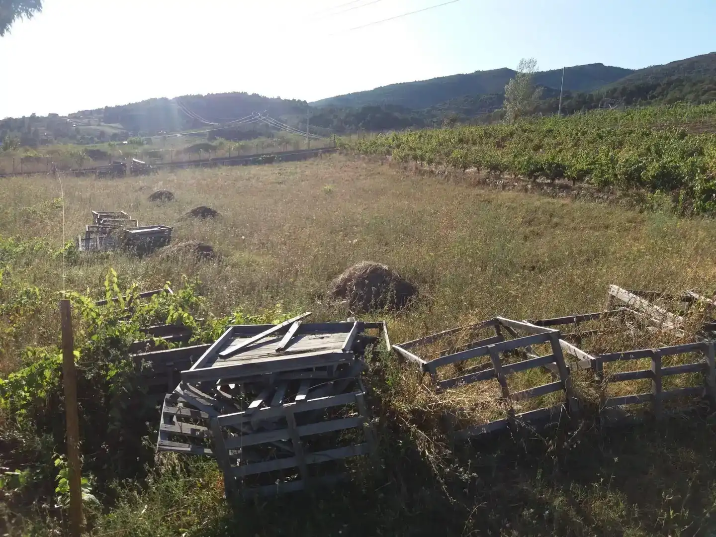 Terreno en venta en Rubiá