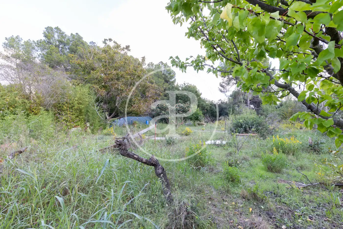 Residential for sale in Rubí