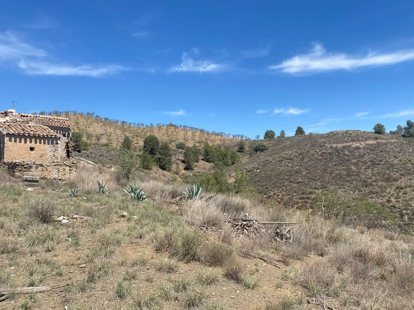 Terreno rustico in vendita a Pedanías Centro, imagen 2