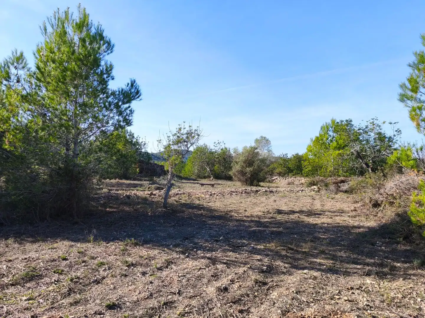 Rural land for sale in Carrer Fray Salvador 50, imagen 5