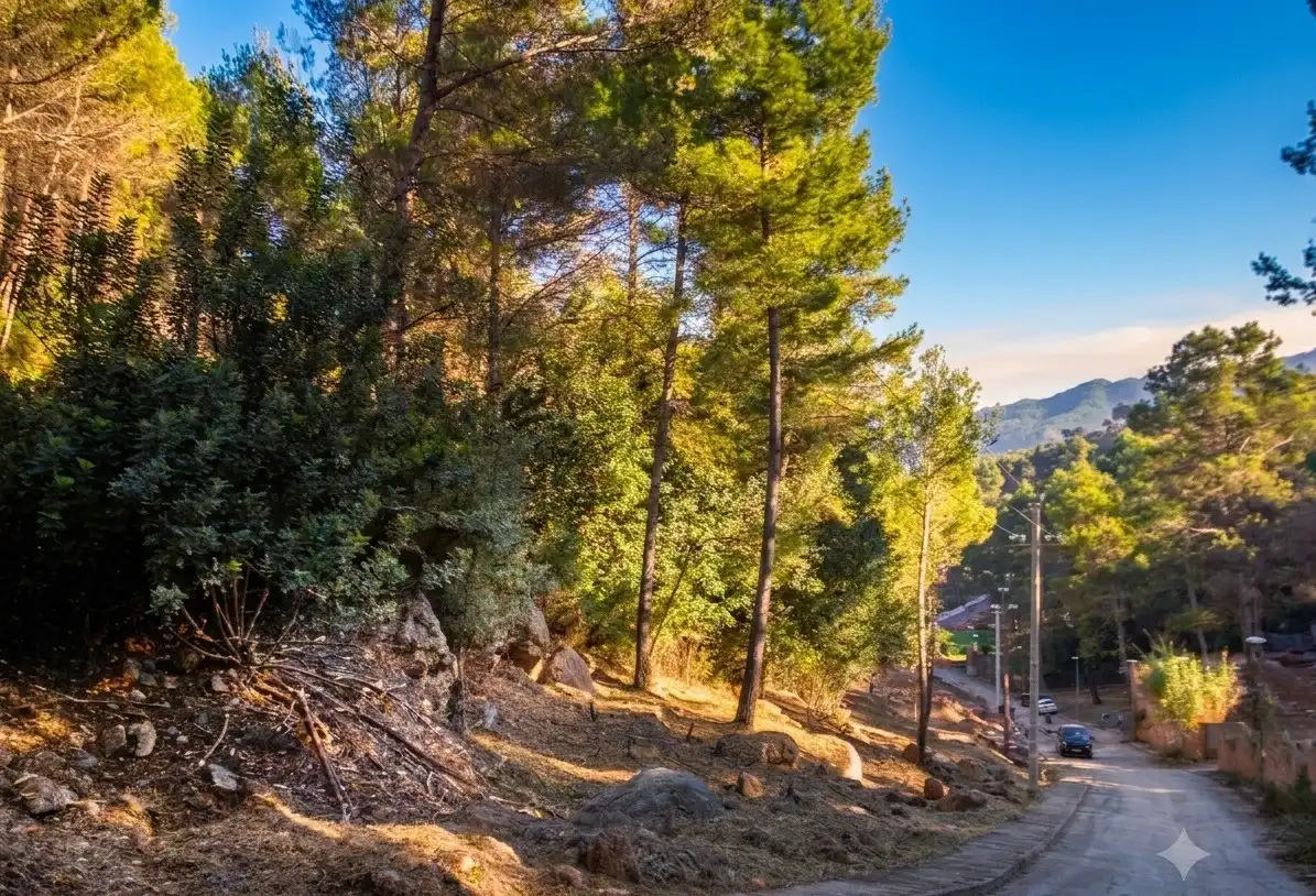 Wohnbaugrundstück zum Verkauf in Carrer Vilafranca de Conflent 26