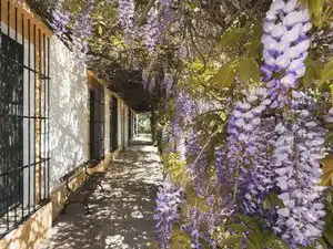 Vista exterior de Finca rústica en venda en Badajoz amb Jardí privat, Terrassa i Piscina