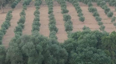 Foto 5 de Finca rústica en venta en El Bosque, Cádiz