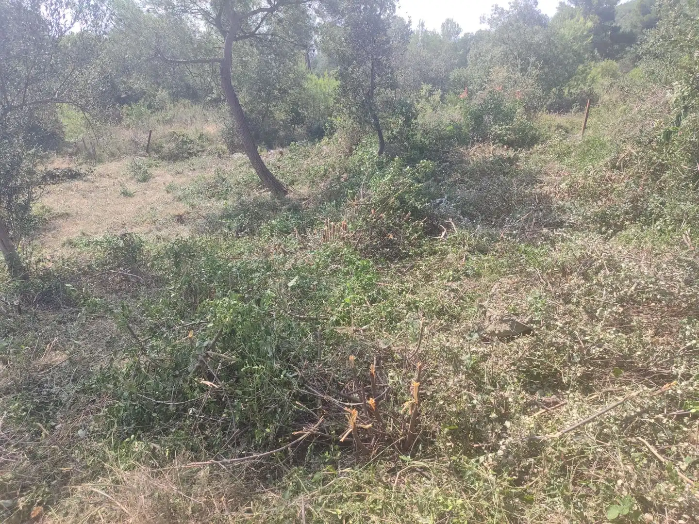 Wohnbaugrundstück zum Verkauf in Carrer Garraf 102, imagen 11