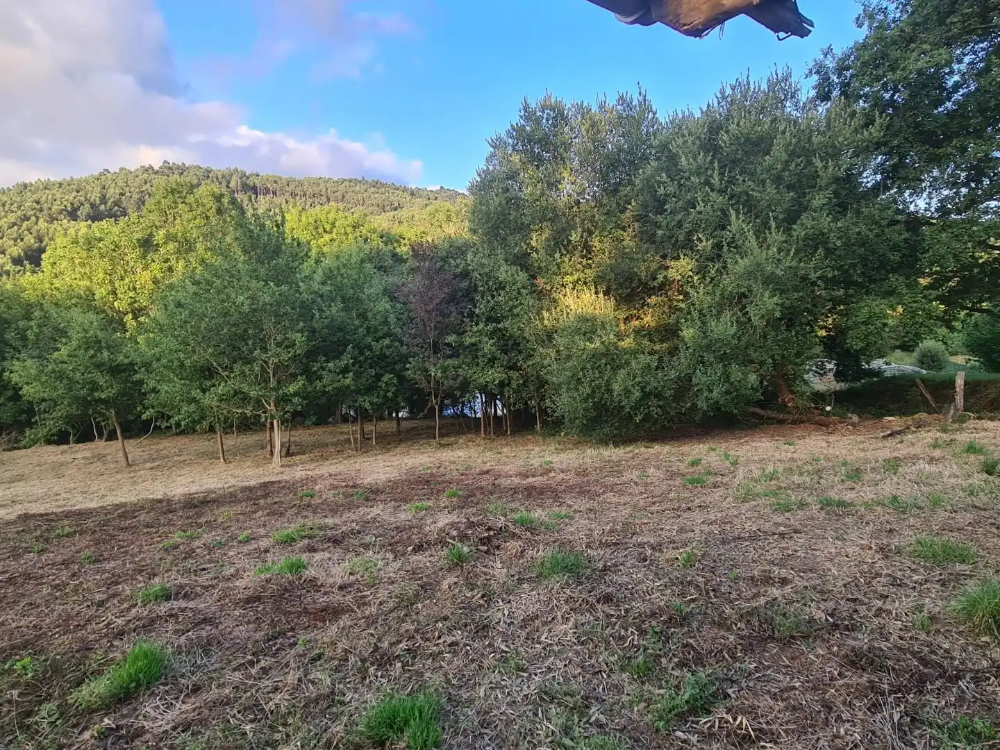 Terreno en venta en Bakio