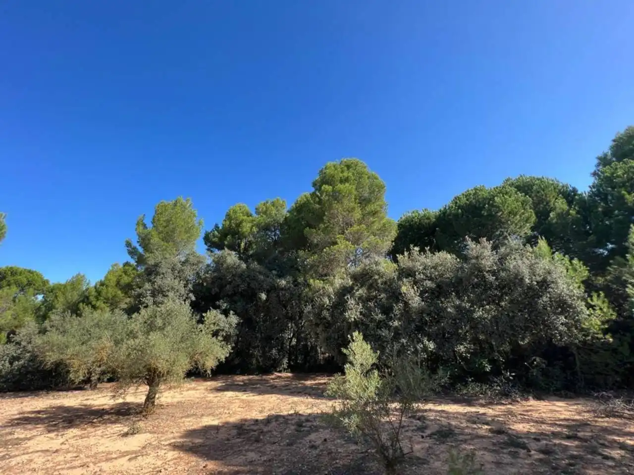 Chalet en venta en Banyeres de Mariola, imagen 25
