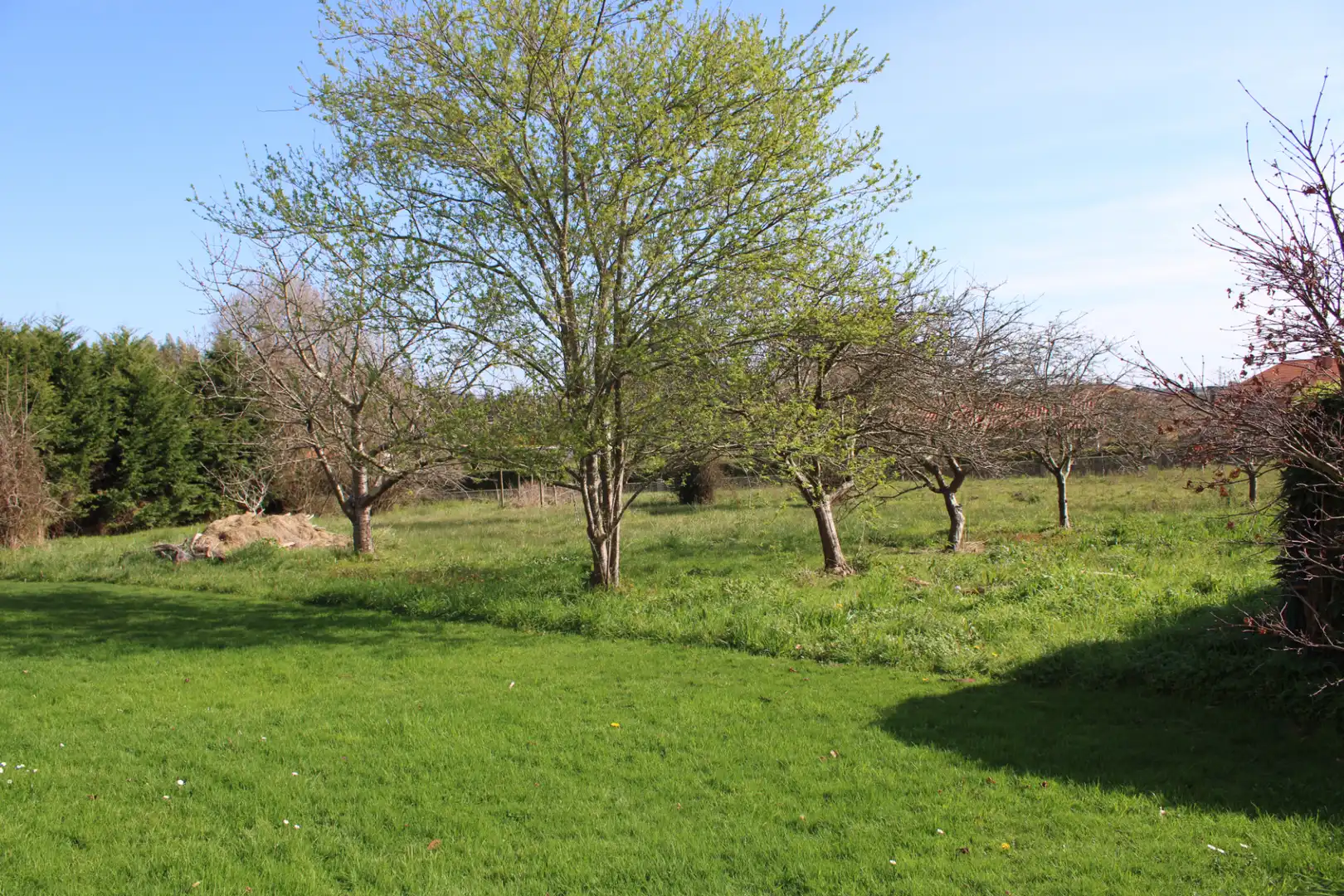 Casa o xalet en venda en Villaviciosa amb Calefacció, Jardí privat i Terrassa