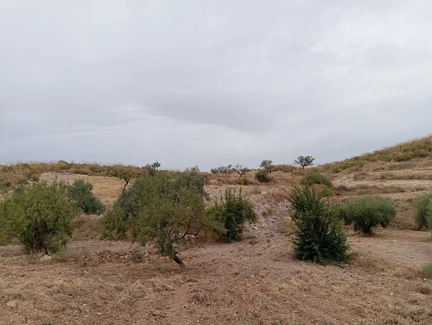 Terreni e lotti in vendita a Bolnuevo, imagen 17