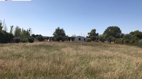 VENTA DE TERRENO REF. 3968, imagen 5