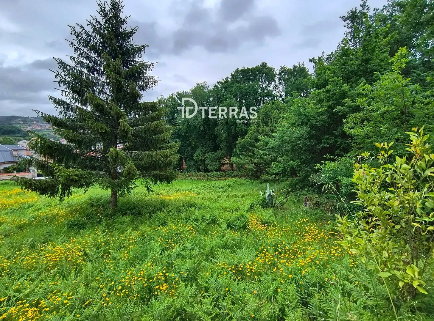 Casa o chalet en venta en Ponte Caldelas con Jardín privado