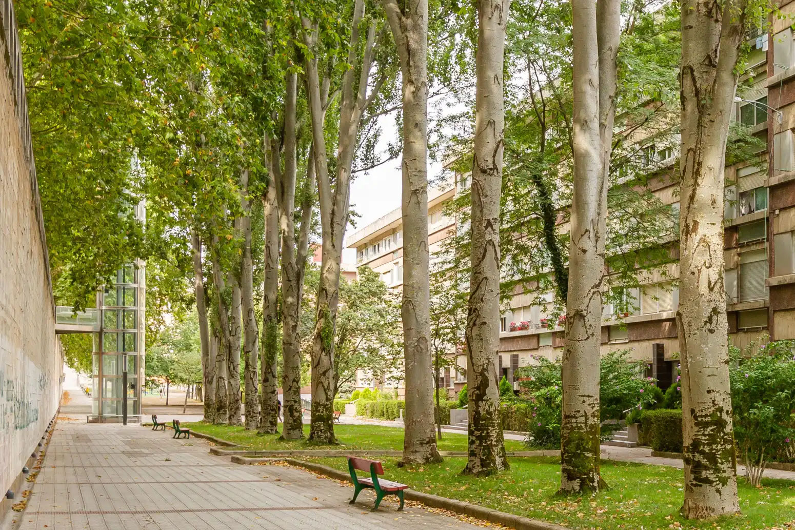 Pis amb ascensor en venda a Pamplona-Iruña - MONASTERIO DE FITERO 1, imagen 28