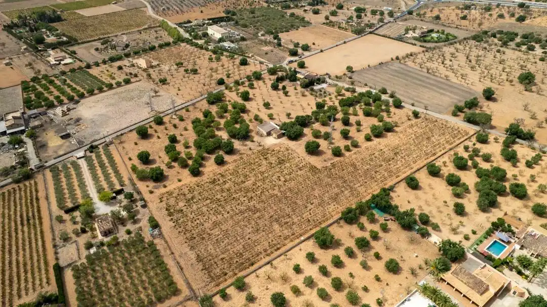 Land for sale in Consell