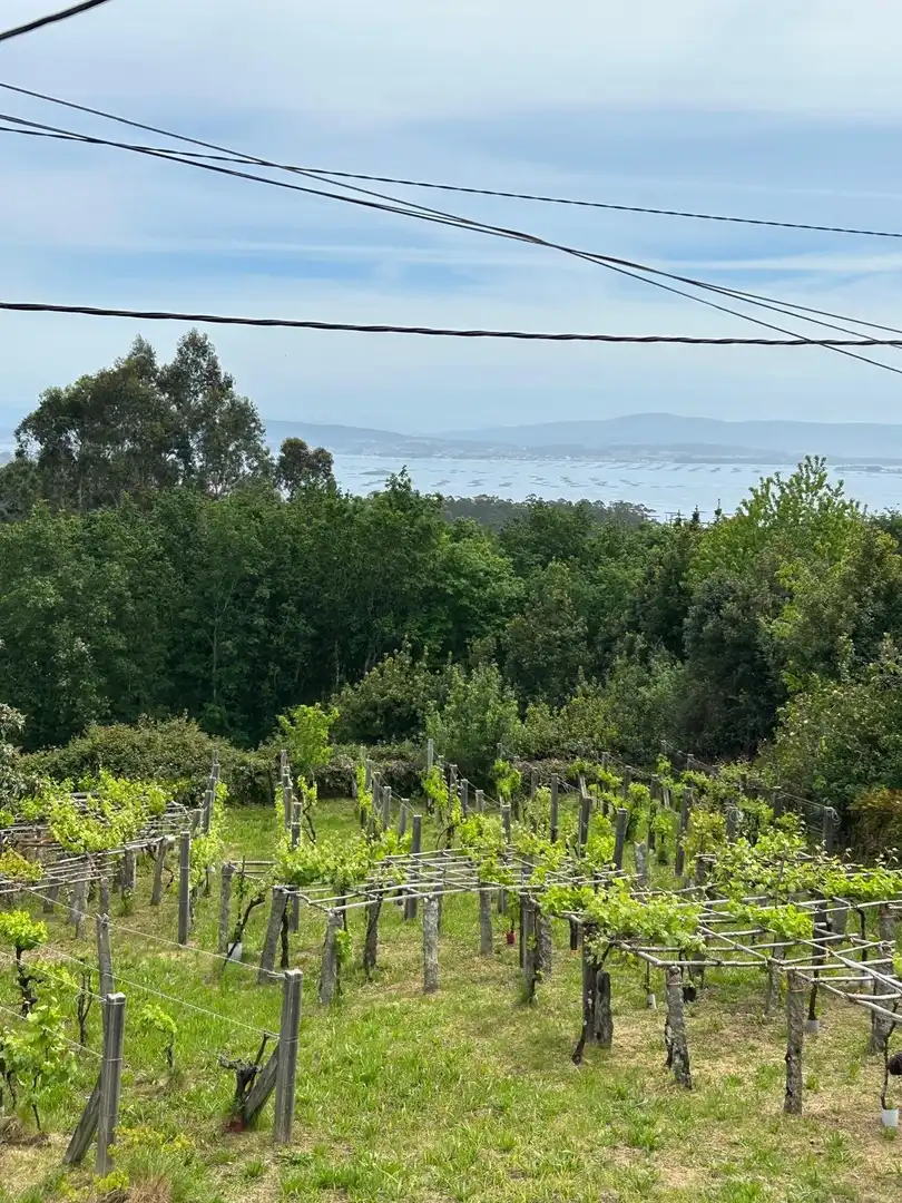 Residential for sale in A Pobra do Caramiñal