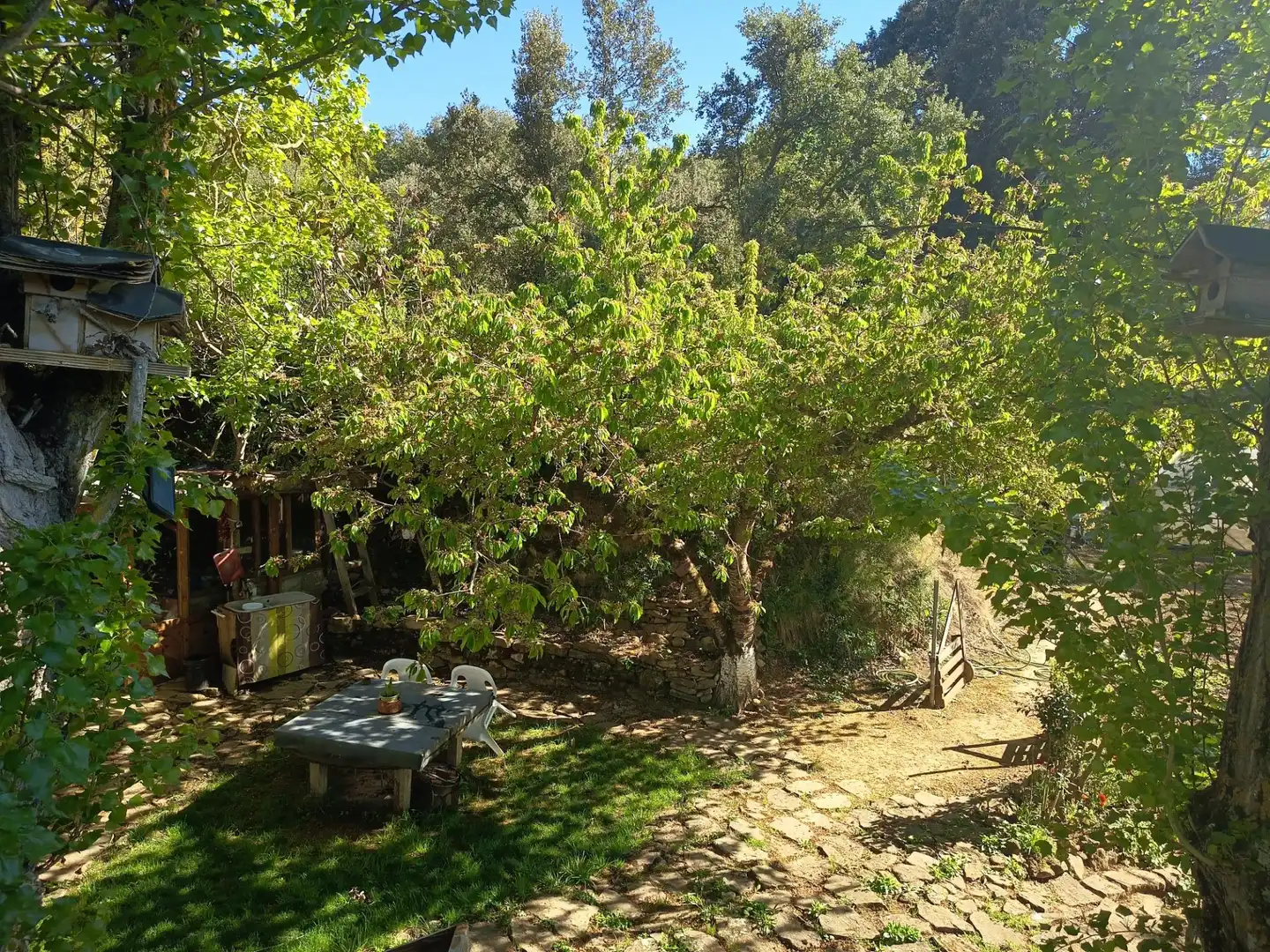 Garden of Land for sale in Leoz / Leotz