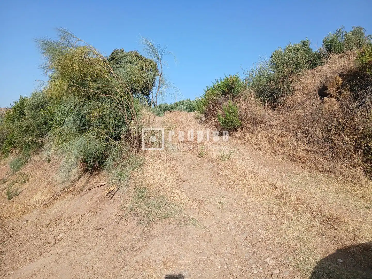 Terrenys i solars en venda a Diseminado, imagen 8
