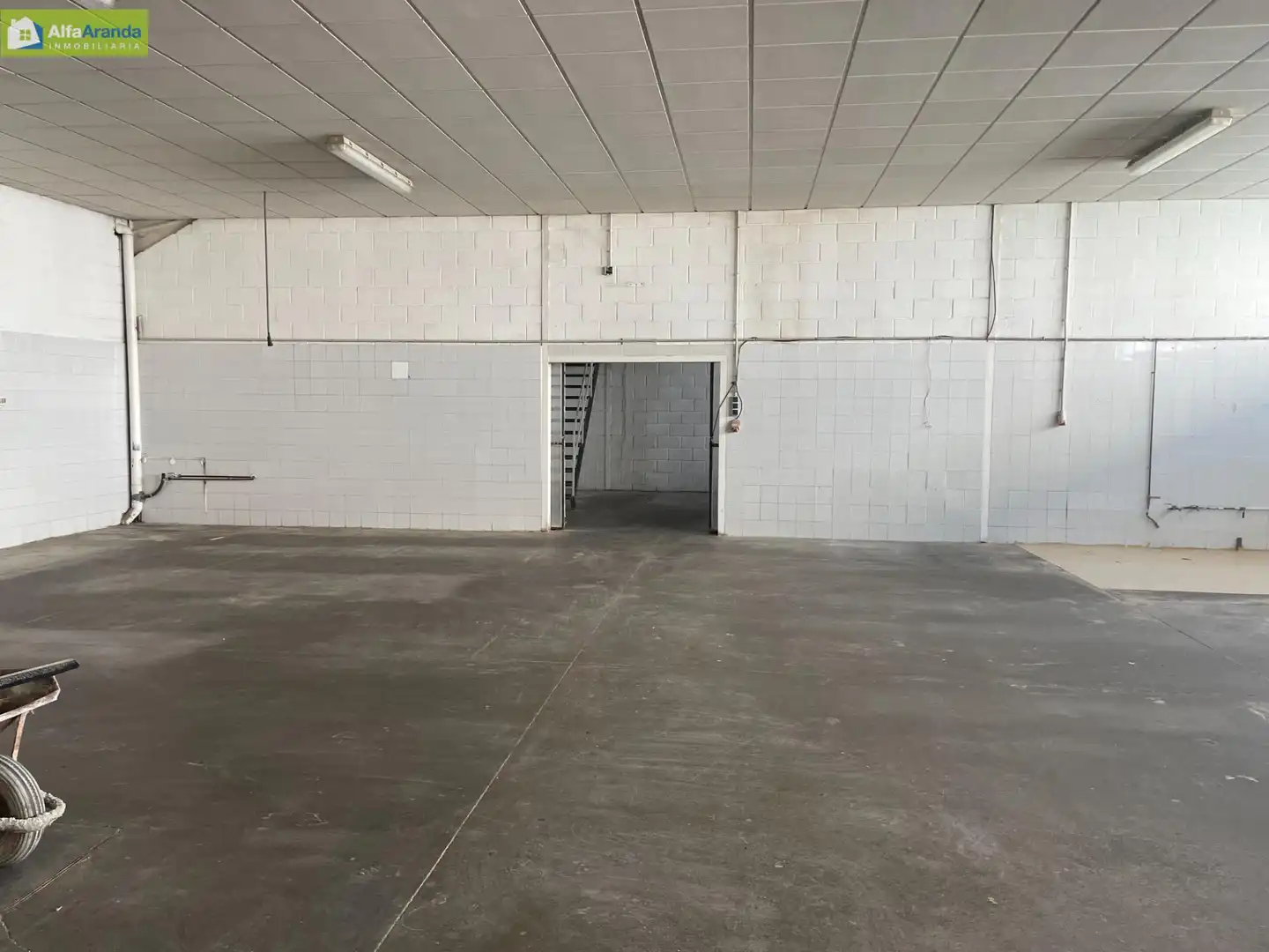 Industrial buildings for sale in Allendeduero