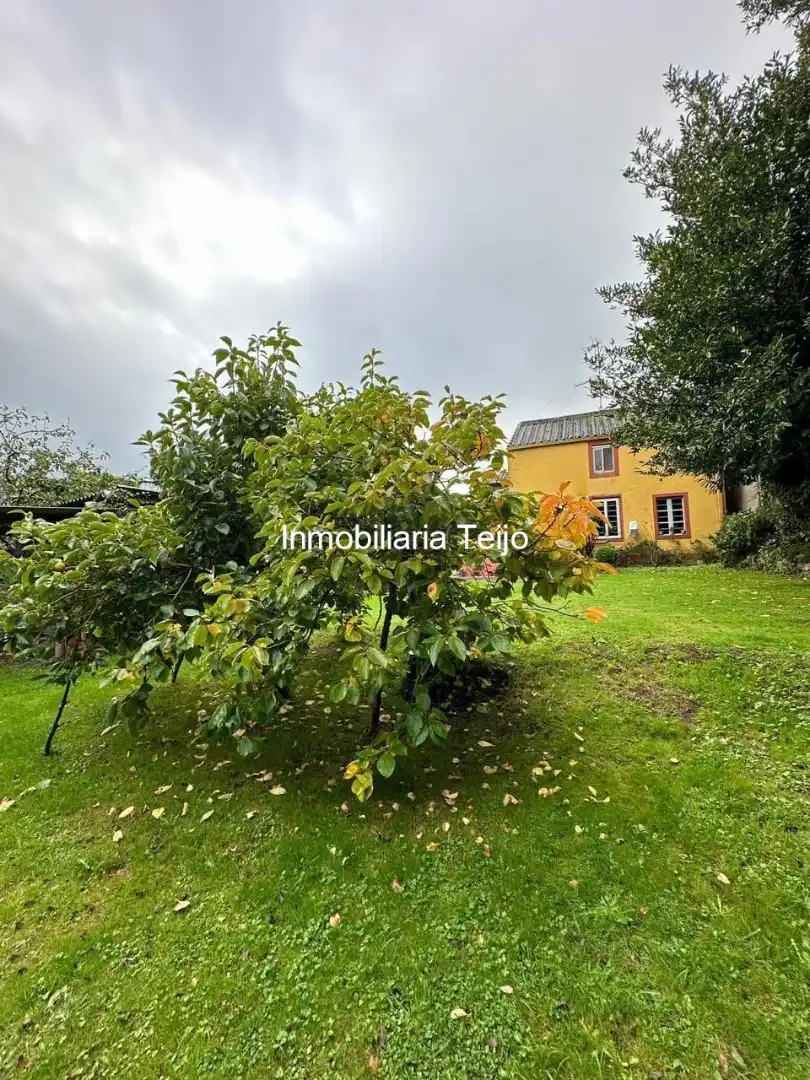 Houses for sale in Moeche