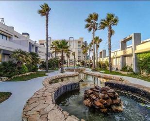 Vista exterior de Pis en venda en Torrevieja amb Moblat i Piscina comunitària