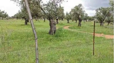 Terreni e lotti in vendita a Pr El Urraco, imagen 16