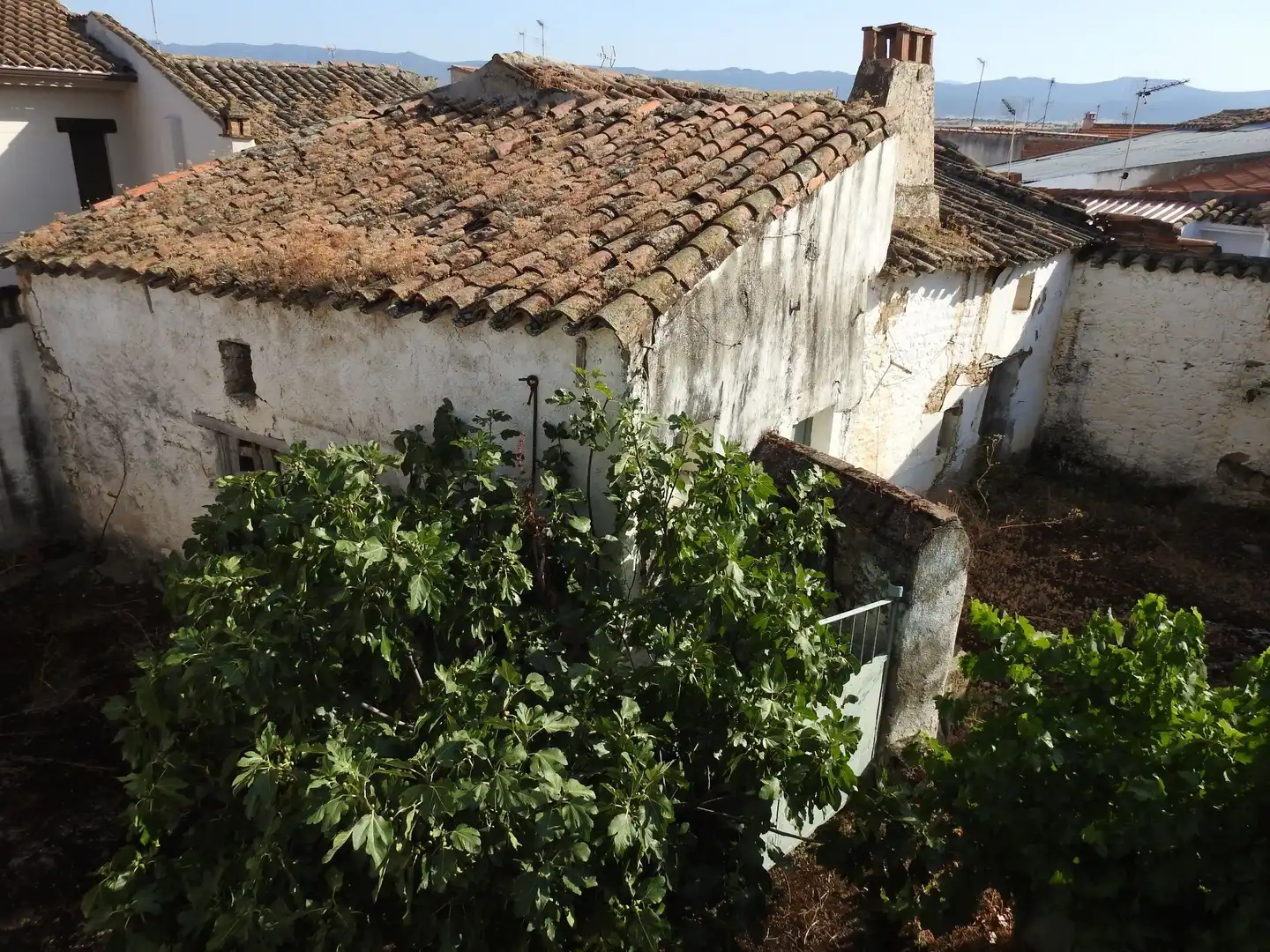 Vista exterior de Finca rústica en venda en Villar del Pedroso