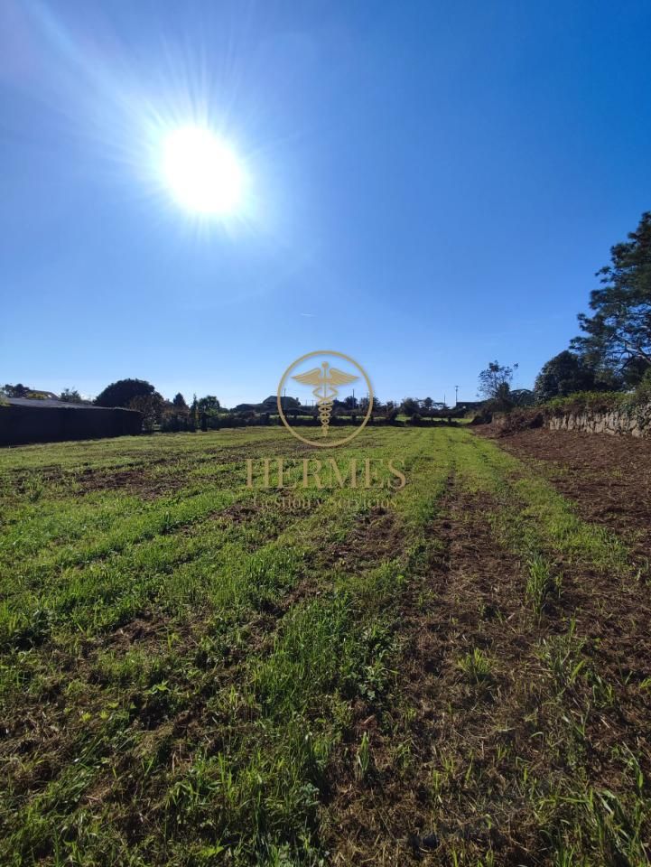Residential for sale in Tui