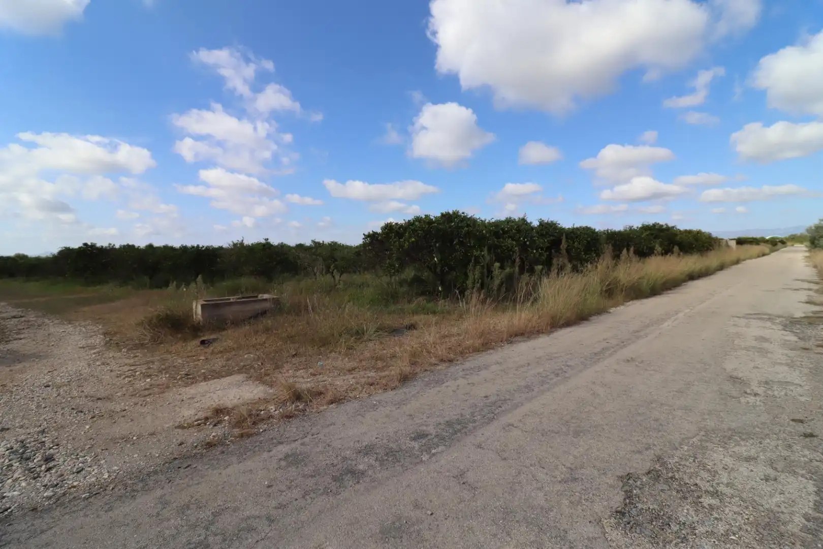 Rural land for sale in Partidas de interior - Zona Rústica, imagen 10