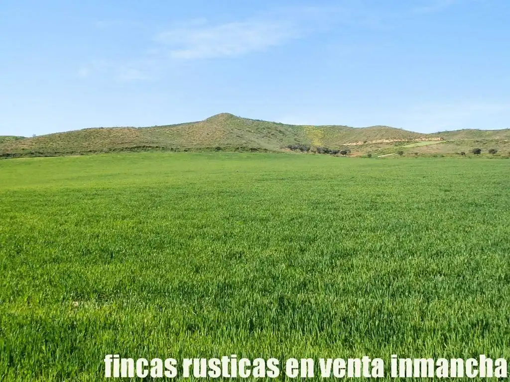 Terreno rustico in vendita a Casco Histórico, imagen 5