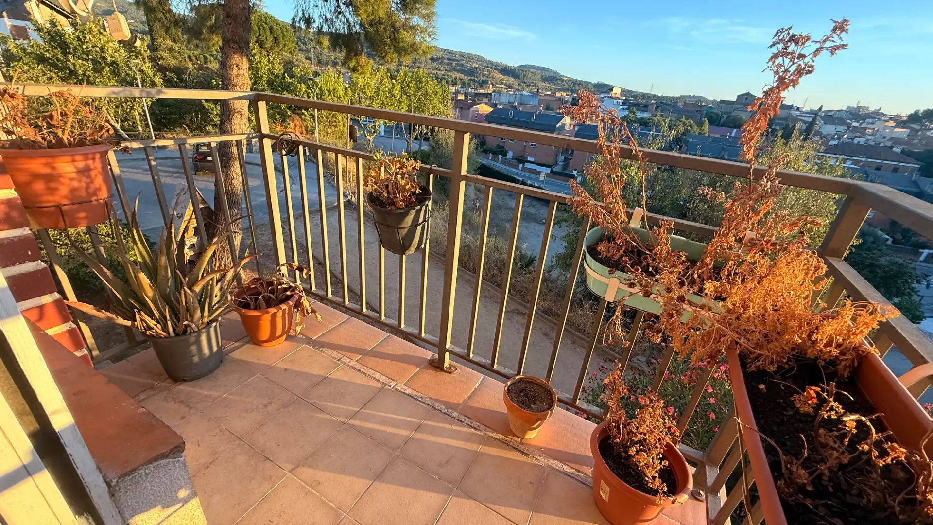 Piso con terraza en venta en Passeig de Can Codorniu 7, imagen 3