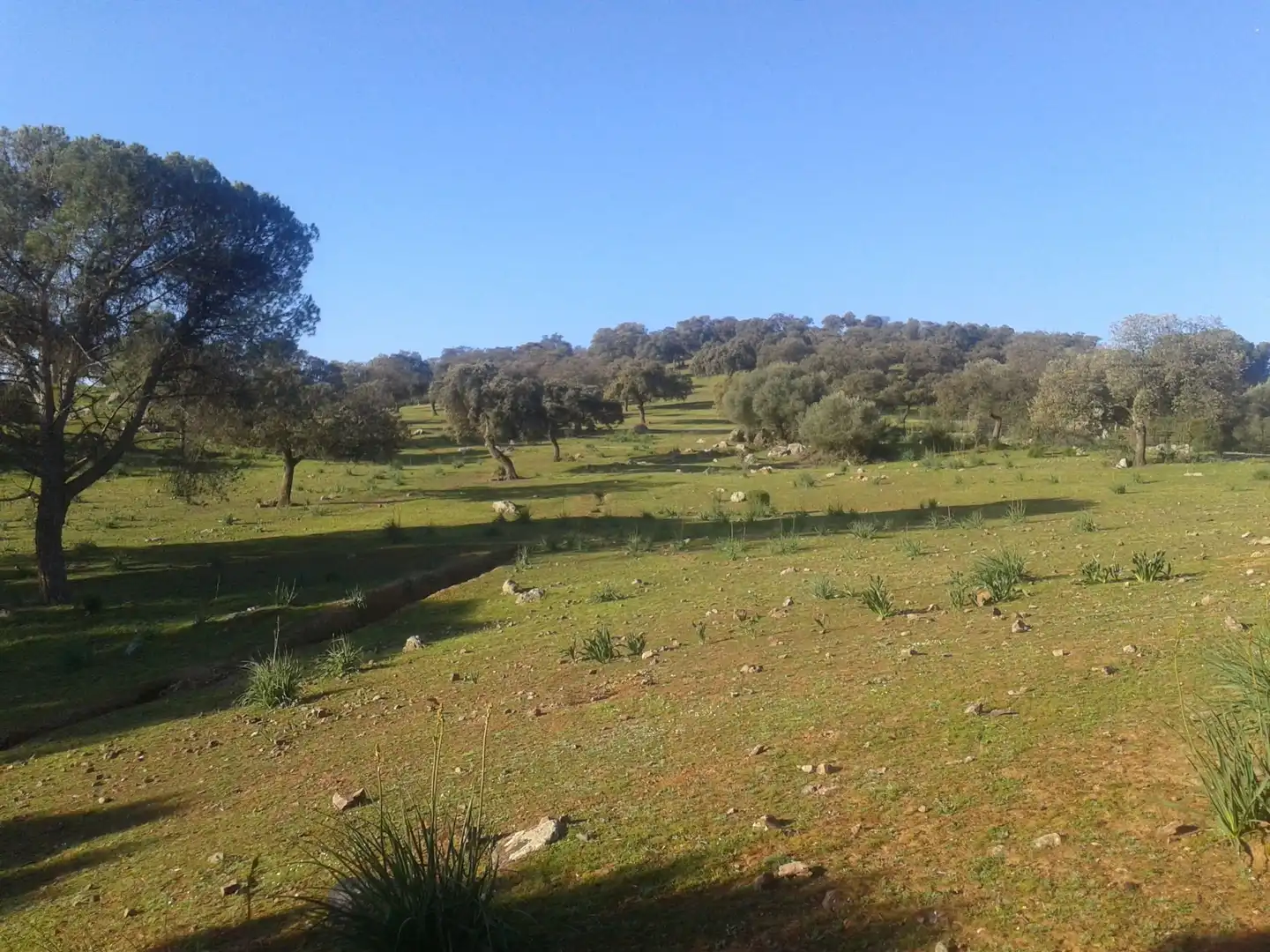 Finca rústica de alquiler en Villafranca de Córdoba con Aire acondicionado, Calefacción y Terraza