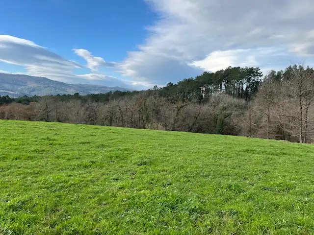 Land for sale in Lezama