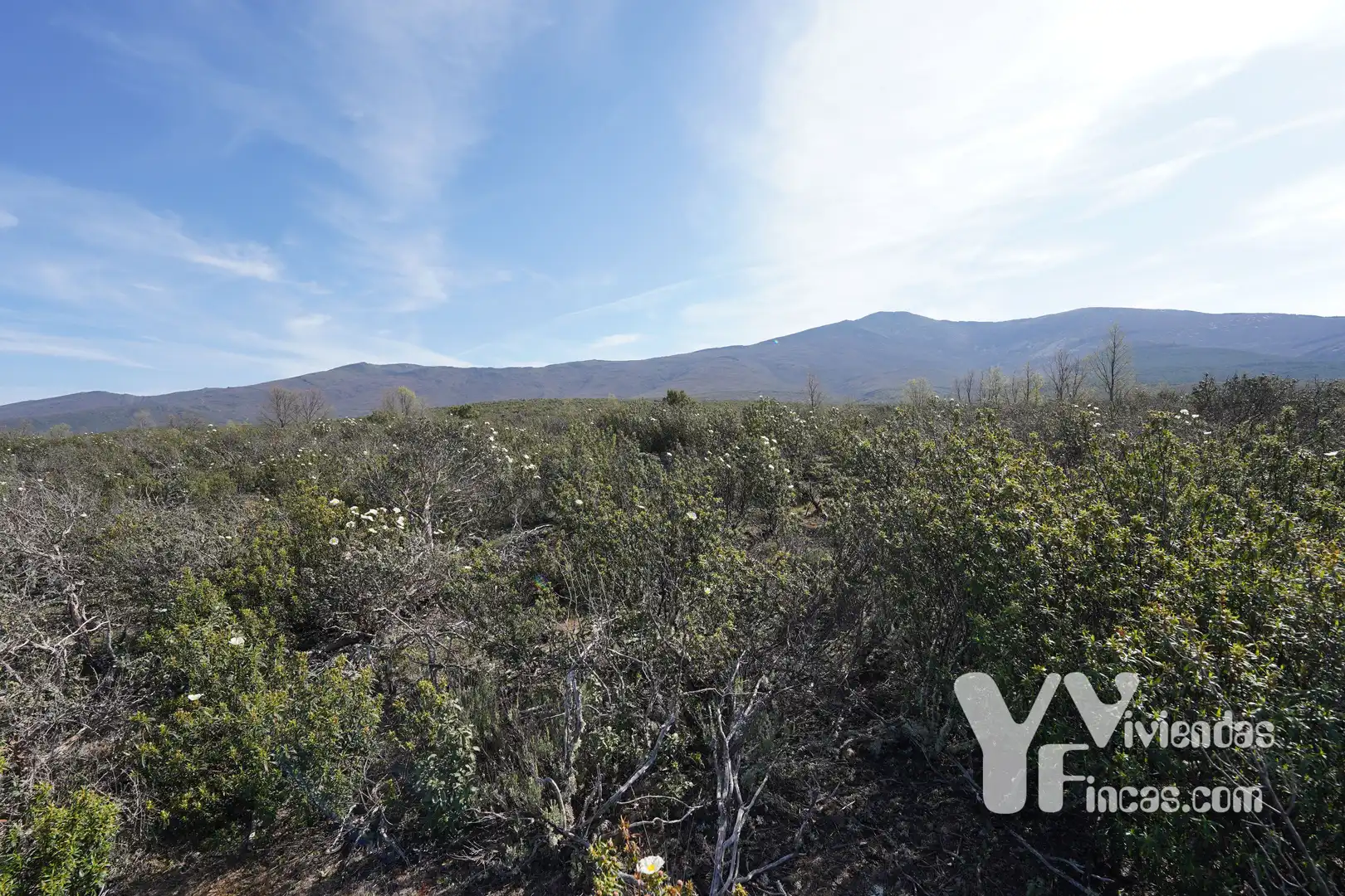 Terreno rústico en venta en Campillo de Ranas, imagen 24